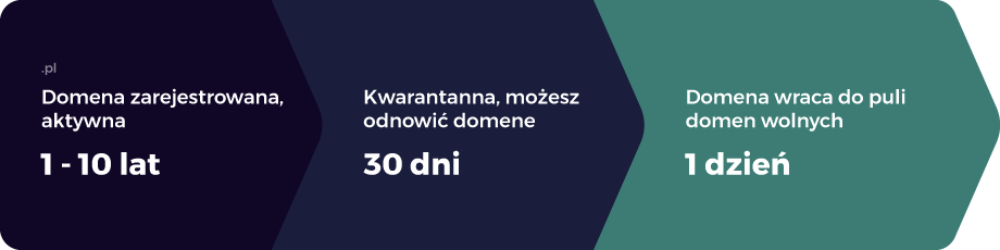 Cykl życia domeny .pl